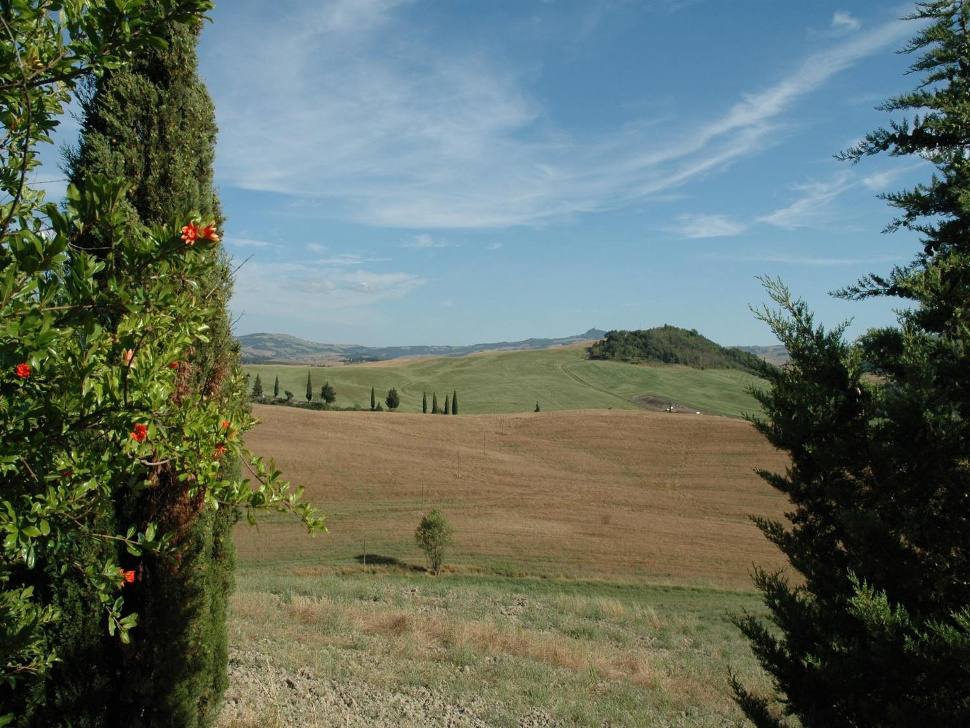 Modern Farmhouse In Pienza With Pool Exteriér fotografie